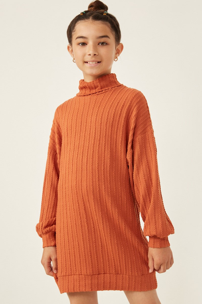 Hayden Girls Cable Knit Turtle Neck Tunic