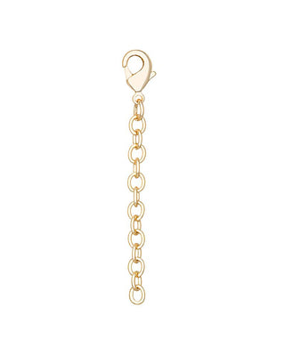 Gold chain with clasp on a white background