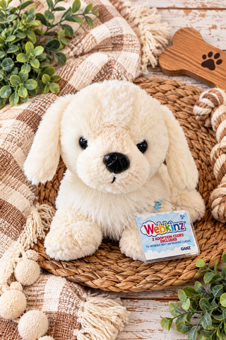 plush dog staying for the webkinz game