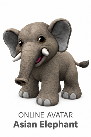 Webkinz Asian Elephant for online interactive game. 