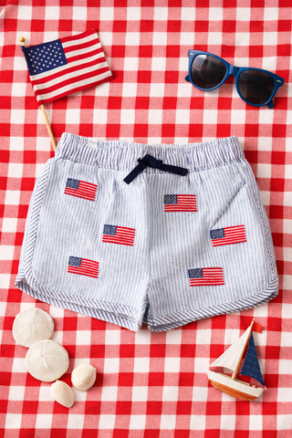 Boys: Mud Pie Embroidered Flag Trunk