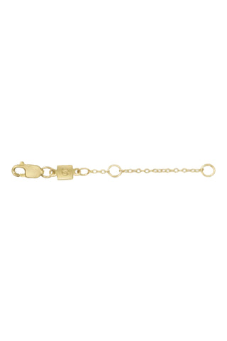 Gold necklace extender with clasp on a white background