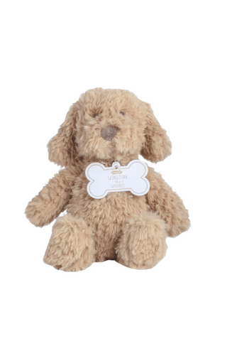 Golden Doodle Plush toy on white background